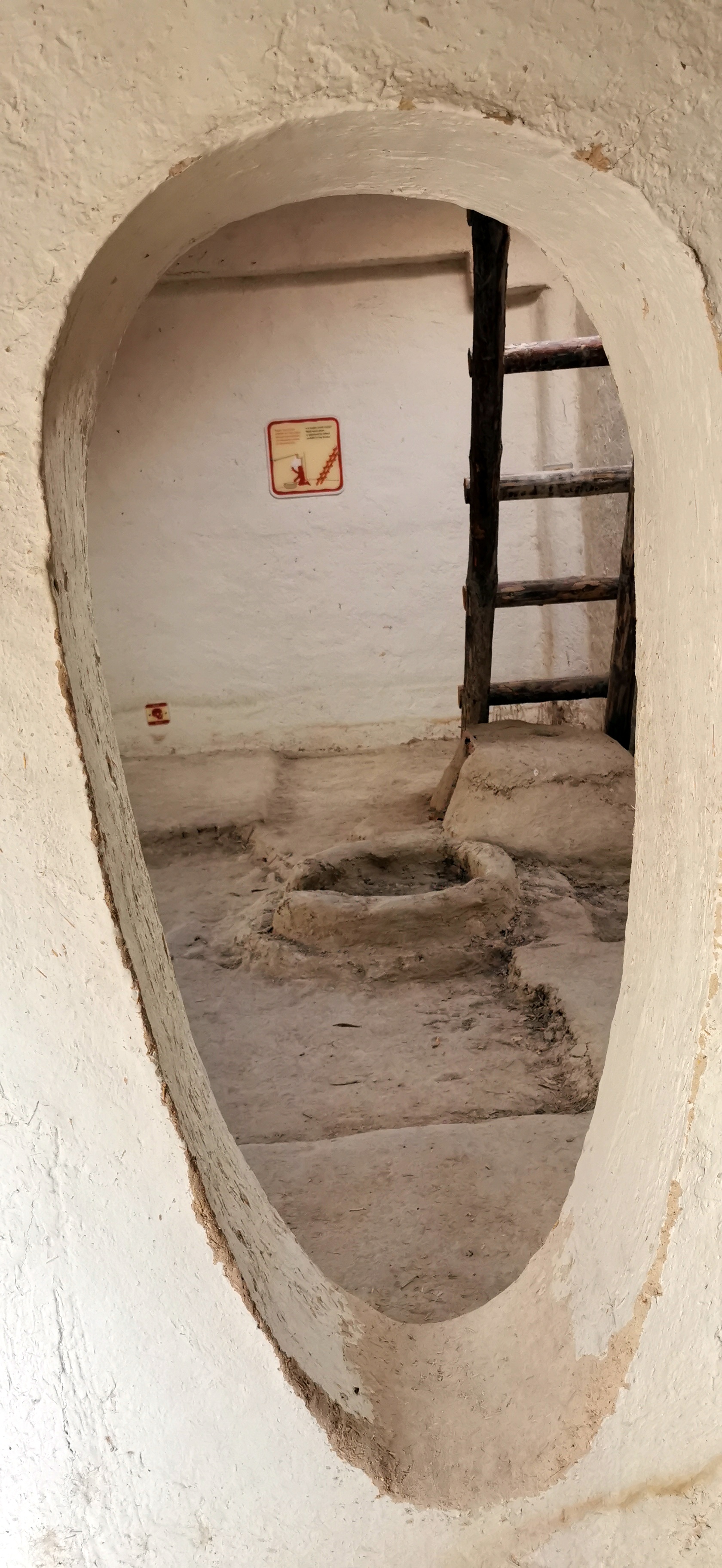 Çatalhöyük & Hasandağı Duvar Resmi