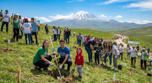 1. Etap: Helvadere Yamaç Ağaçlandırması & Biyolojik Rüzgâr Kalkanı